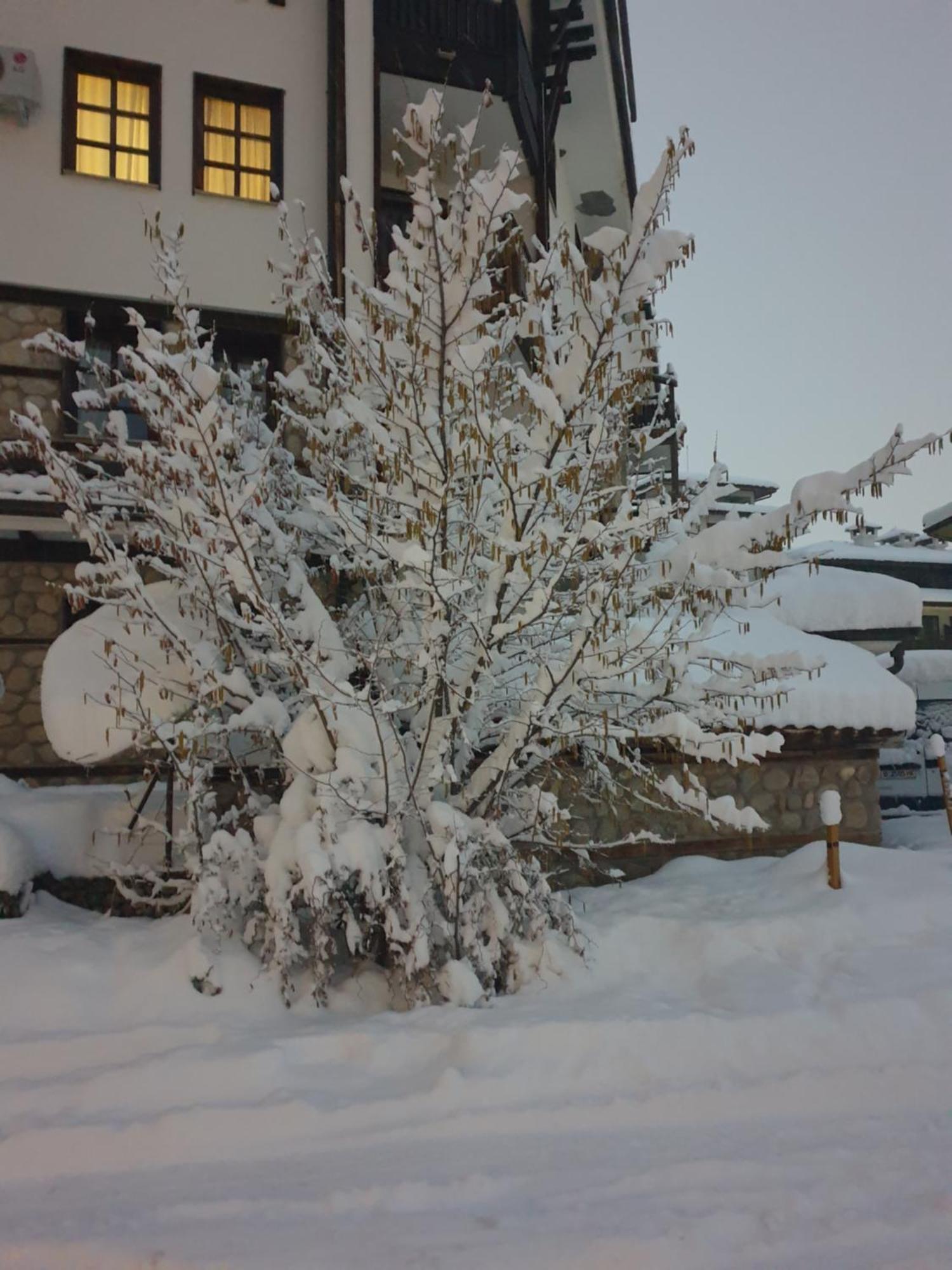 Dream Apart Hotel 207 Bansko Phòng bức ảnh